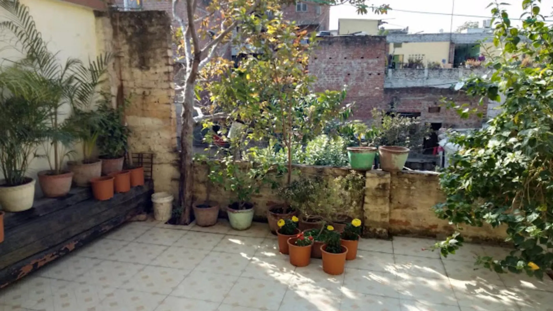 Varanasi Hotel Sanskrit Paying # Near Assi Ghat And Kashi Vishwanath Temple -Wifi -Room Service - Spacious Room - A Budget Guest House In Varanasi India